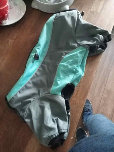 Photo of free Dog Coat (Shoreham Beach BN43) #1
