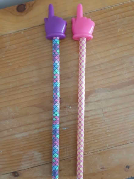 Photo of free Pointer sticks (Norbury SW16) #1