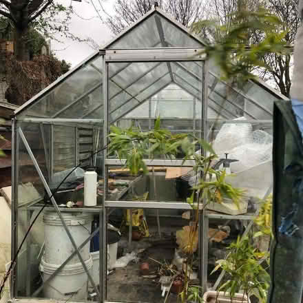 Photo of free Greenhouse (Collier Row RM5) #2