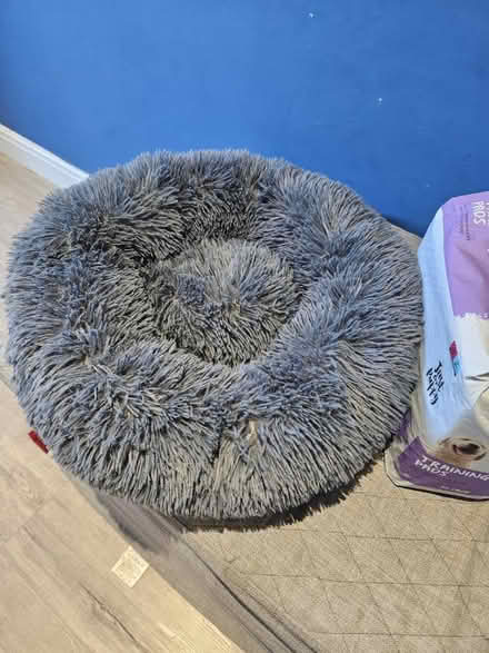 Photo of free Puppy bed and puppy pads (LS8 (Roundhay)) #2