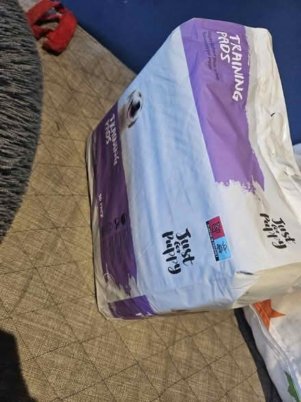 Photo of free Puppy bed and puppy pads (LS8 (Roundhay)) #1