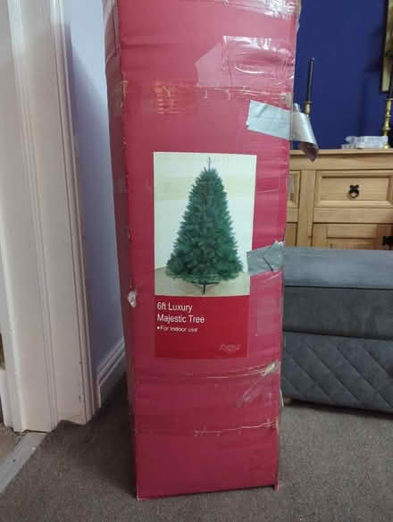 Photo of free Christmas tree (Ashington (NE63)) #1