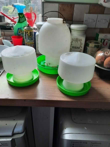 Photo of free Chicken/quail water and food feeder (Brimington S43) #1