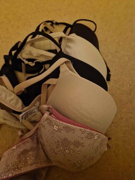 Photo of free 5 bras size 36a (EH14 Juniper Green) #2