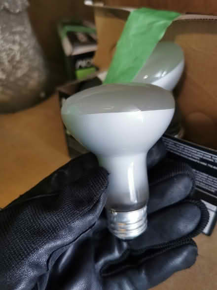 Photo of free Incandescent 45w flood light (Vanier north) #1
