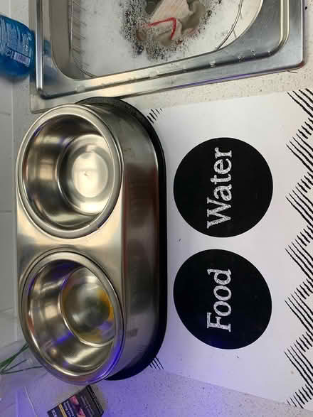 Photo of free Dog feeding station (Bridgemary PO13) #1