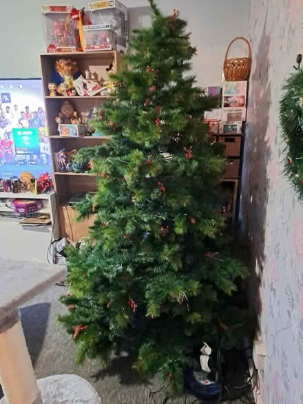 Photo of free Large Christmas Tree (Wollaton NG8) #3