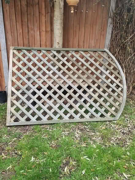Photo of free Wooden garden trellis (Putney SW15) #1