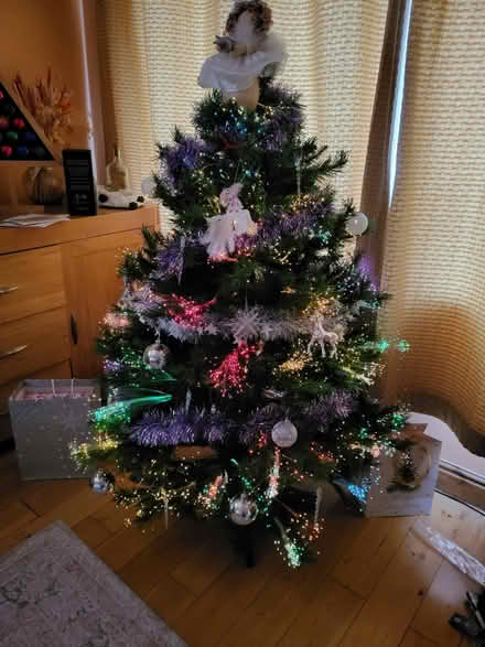 Photo of free Fibre optic Christmas tree (Mickleover DE3, Derby) #2