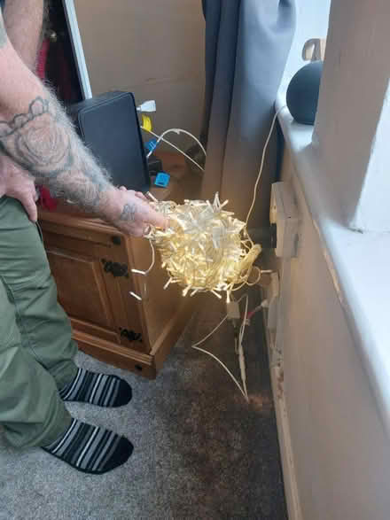 Photo of free 500 Christmas tree lights (B29) #1