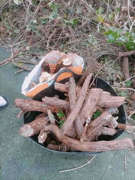 Photo of free wood & twigs for fire (Boscombe BH1) #2
