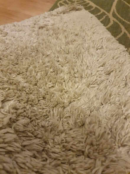 Photo of free Dunelm rug 160 x 230 natural (NR5) #3