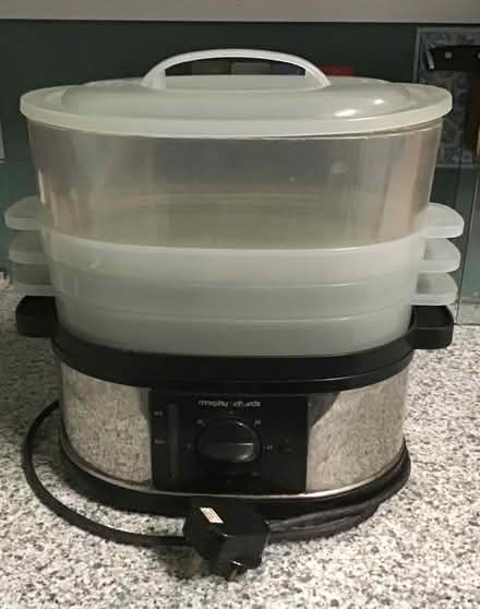 Photo of free Morphy Richards steamer (Hastings TN34) #1