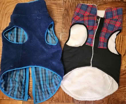 Photo of free XXL Dog Clothes (Rhode Island Ave NE Metro) #2