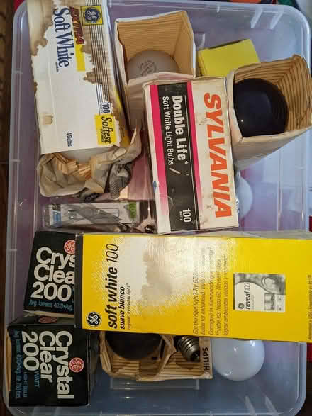 Photo of free incandescent light bulbs (Washington Heights near GWB) #1
