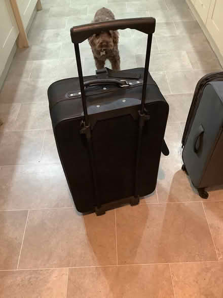 Photo of free Travel Bags (Grange Over Sands) #1