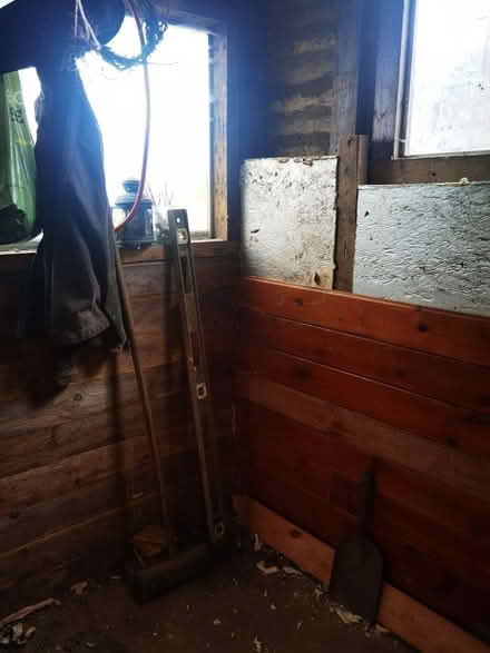 Photo of Insulation (Woodhouse LS6) #1