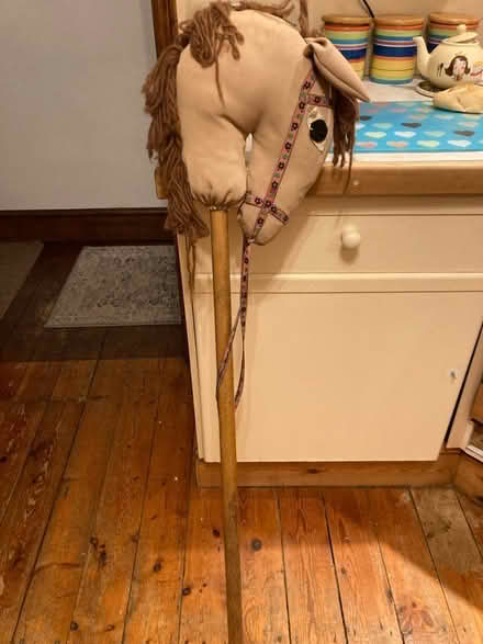 Photo of free Hobby Horse (TN24) #1