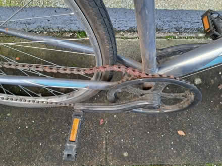 Photo of free Gents road bike (East Kilbride) #2