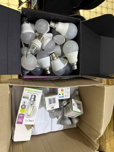 Photo of free LED Bulbs - assorted (Ivy Farm SK11) #1