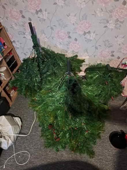 Photo of free Large Christmas Tree (Wollaton NG8) #4