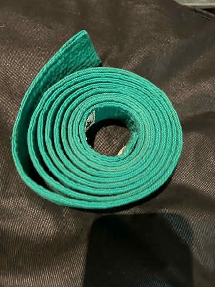 Photo of free Green karate belt 280cm (DT4) #2