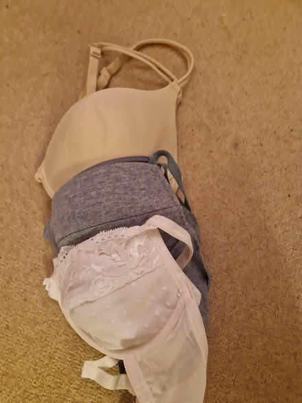 Photo of free 3 bras size 34c (EH14 Juniper Green) #1