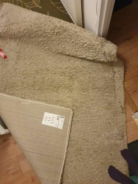 Photo of free Dunelm rug 160 x 230 natural (NR5) #1