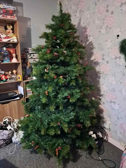 Photo of free Large Christmas Tree (Wollaton NG8) #1