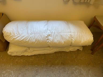 Photo of free Double duck down duvet (Letchworth) #1