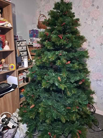 Photo of free Large Christmas Tree (Wollaton NG8) #2