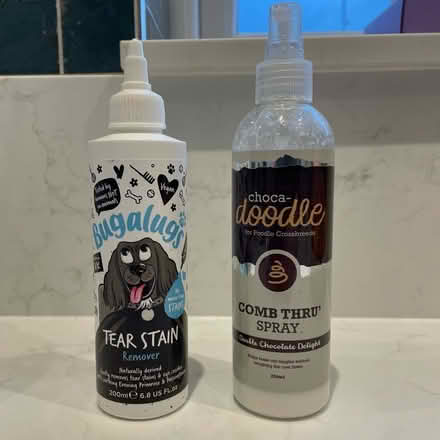 Photo of free Dog stuff (Twyford RG10) #1