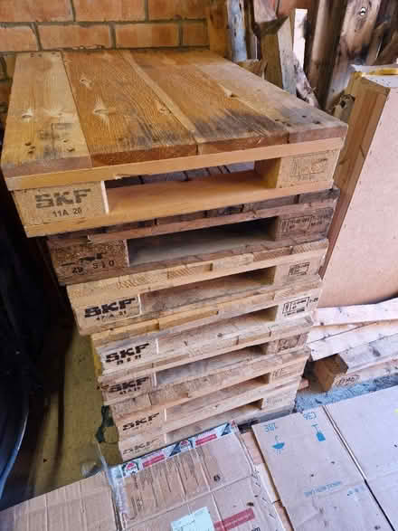 Photo of free 8 x pallets (Stanground) #1