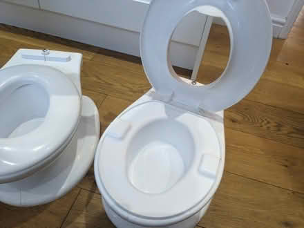 Photo of free Toddler mini toilets for potty training (Cookham SL6) #2