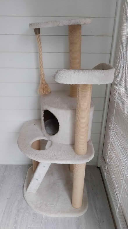Photo of free Multi-tiered Cat Tree (Charlton OX12) #2