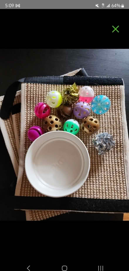 Photo of free Cat supplies (Dracut) #1