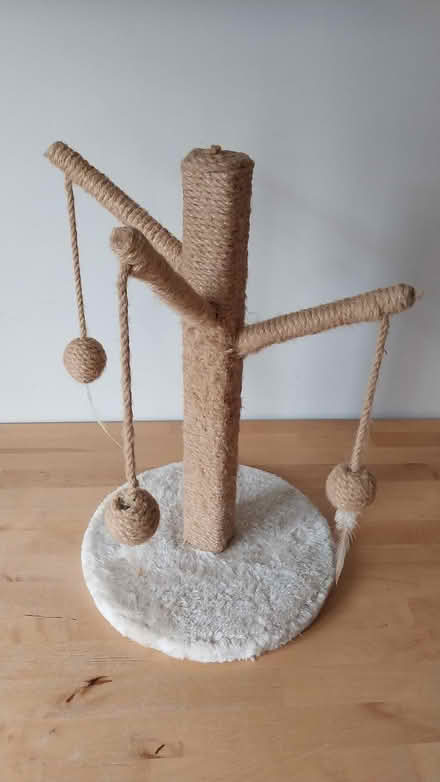 Photo of free Small Cat Tree (Charlton OX12) #1