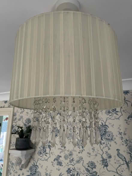 Photo of free Two lampshades (Gt Cornard CO10) #1