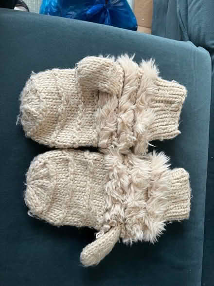 Photo of free FCUK Mittens (W9) #1