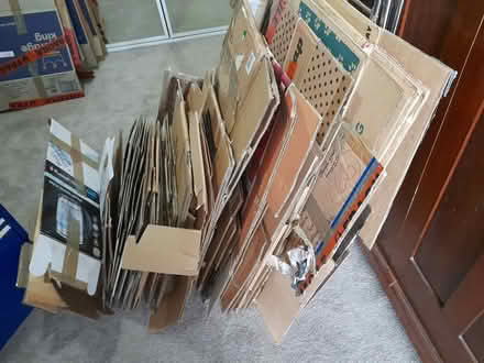 Photo of free Moving boxes (Petersham) #3