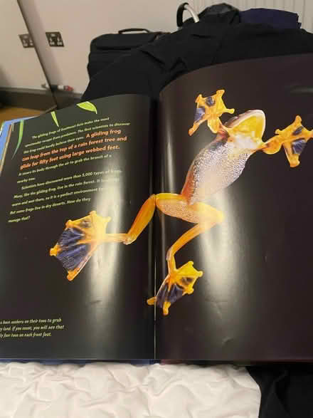 Photo of free Frog book (EC1V) #2
