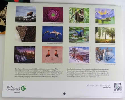 Photo of free Four 2024 wall calendars (Cambridgeport, near Dana Park) #2