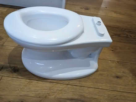 Photo of free Toddler mini toilets for potty training (Cookham SL6) #3
