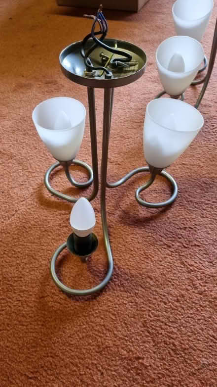 Photo of free 2x ceiling lights (Binfield RG42) #1