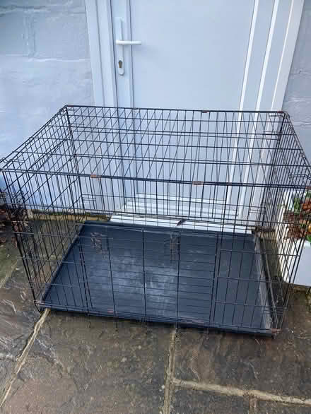 Photo of free Large Dog Cage (CT9) #1