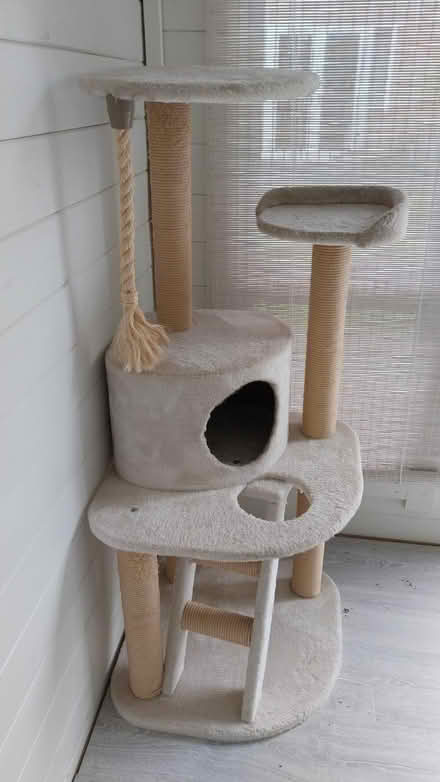 Photo of free Multi-tiered Cat Tree (Charlton OX12) #1