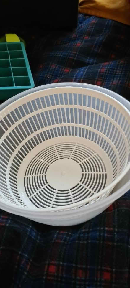 Photo of free Ice cube tray and salad spinner (Ponders End) #2