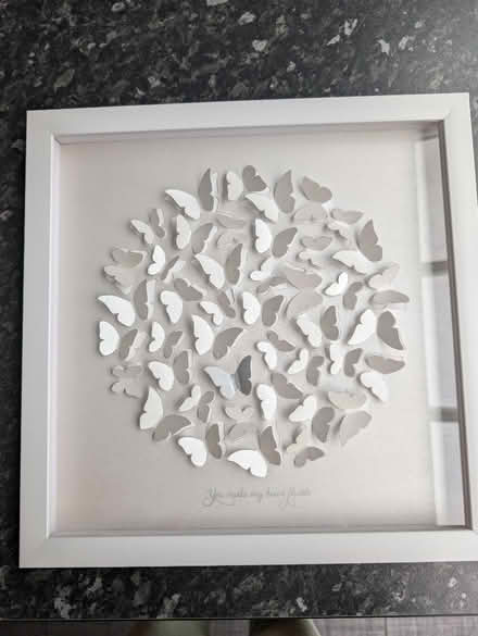 Photo of free NEXT framed 3D butterfly picture (Stanway CO3) #1