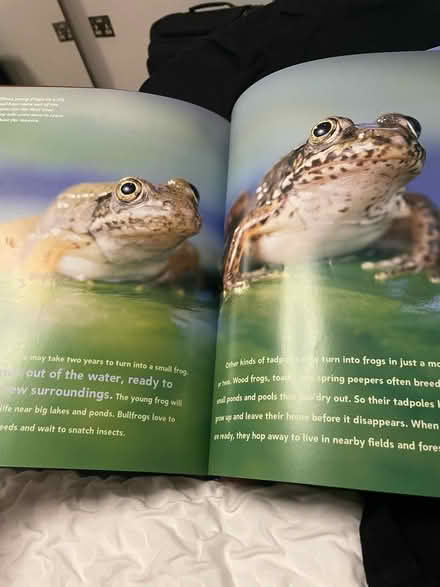 Photo of free Frog book (EC1V) #3
