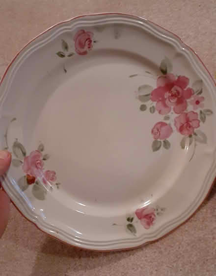 Photo of free 6 matching large plates (Riverside South) #1